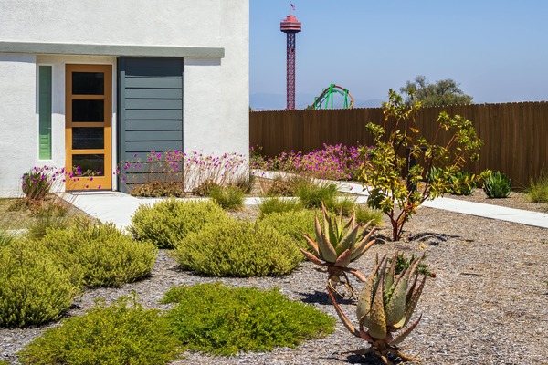 Beautiful modern landscape design with drought-resistant plants and clean architectural lines showcasing professional landscaping expertise