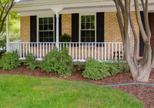 Before landscaping: Basic foundation plantings with visible irrigation issues around Orange County home front yard